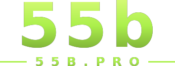 55b logo